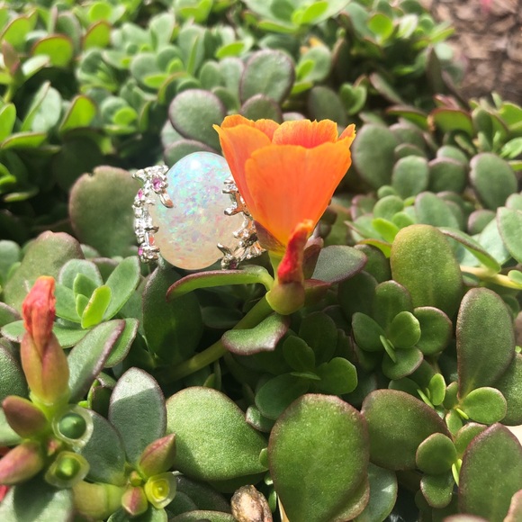 🚫sold on Curtsy🚫 - Picture 2 of 3